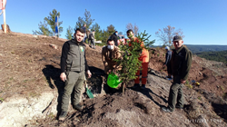 TARAKLI’DA KAYABOĞAZI’NA FİDANLAR DİKİLDİ.