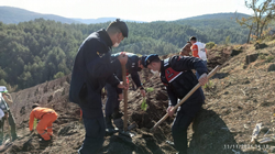 TARAKLI’DA KAYABOĞAZI’NA FİDANLAR DİKİLDİ.