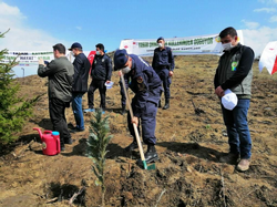 21 Mart Ormancılık Haftası Taraklı’da da Kutlandı