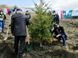 21 Mart Ormancılık Haftası Taraklı’da da Kutlandı
