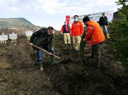 21 Mart Ormancılık Haftası Taraklı’da da Kutlandı