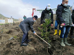21 Mart Ormancılık Haftası Taraklı’da da Kutlandı