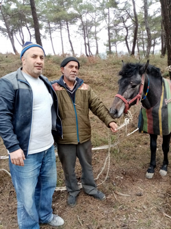 KAYBOLAN AT ORMANLIK ALANDA BULUNDU