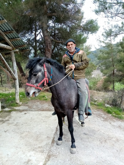 KAYBOLAN AT ORMANLIK ALANDA BULUNDU