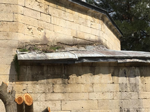 Tarihi Kurşunlu Camii İlgi Bekliyor