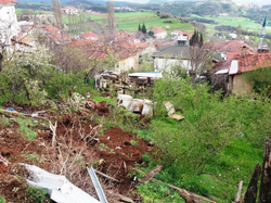 Feci Kaza Ucuz Atlatıldı