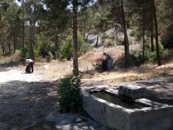 Taraklı Belediyesi’n den Temizlik Seferberliği