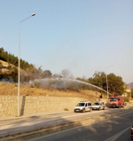 Bahçedeki kuru otlar tutuştu