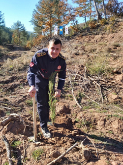 Taraklı’da geleceğe nefes olacak yeni fidanlar toprakla buluştu
