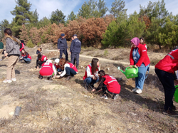 TARAKLI’DA KIZILAY’LA ORMANLAR YAŞATILIYOR