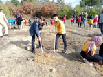 TARAKLI’DA KIZILAY’LA ORMANLAR YAŞATILIYOR