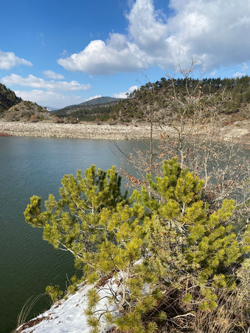 Kayaboğazı Gölet’i Kar ve Yağmur Yağışlarıyla Su Tutmaya başladı.