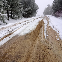 Taraklı güzergâhındaki asfalt perişan durumda.