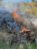 TARAKLI MEZARLIĞINDA BAYRAM TEMİZLİĞİ