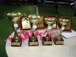 Şampiyonun Adı: Taraklı Birlikspor
