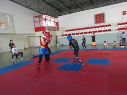 Taraklı Halk Eğitim Merkezi sporcuları Fırtına Gibi Esti