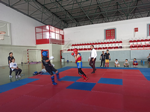Taraklı Halk Eğitim Merkezi sporcuları Fırtına Gibi Esti