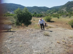 Ayı Arı Kovanlarını Parçaladı