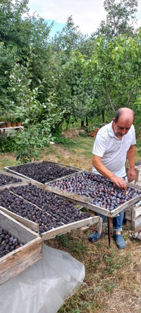 Eskiden Dış ülkelerede pazarlanırdı