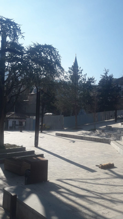 Cenazelerimiz Hangi musalla taşından kaldırılacak ?