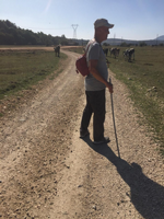 Karagöl yaylasında konaklayan göçerler dönüş yapmaya başladı.