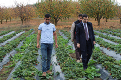 KAYMAKAM SERTTAŞ GENÇ ÇİFTÇİ,ÇİLEK YETİŞTİRİCİNİ TARLADA ZİYARET ETTİ