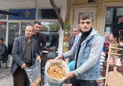 Yağışlarla birlikte Kanlıca Mantarı Bollaştı