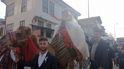 Taraklı ilçesinde deve sırtında gelin gezdirdiler