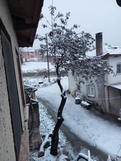 Taraklı’da Kar Yağışı etkili oluyor