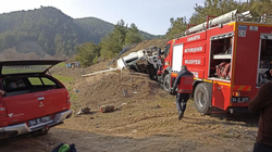Freni boşalan Yem kamyonu kaza yaptı:1 yaralı
