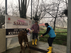 Türk Diyanet Vakfı Taraklı Şubesi Et Dağıttı.