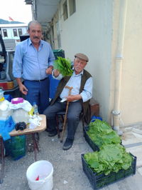 Taraklı’da Yaprak Satışları Başladı