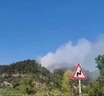 Taraklı'da Orman yangını!