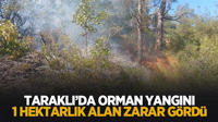 Taraklı'da Orman yangını!