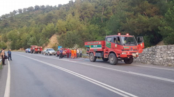 Taraklı'da orman yangını! Facianın önüne geçildi
