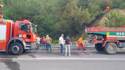 Taraklı'da orman yangını! Facianın önüne geçildi