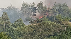 Taraklı'daki yangın 3 buçuk saat sonra kontrol altına alındı