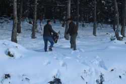 Kar altında doğada yaşayan hayvanlar unutulmadı
