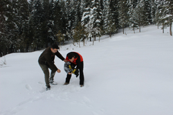 Kar altında doğada yaşayan hayvanlar unutulmadı