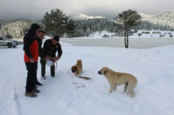Kar altında doğada yaşayan hayvanlar unutulmadı