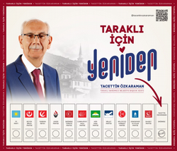 Tacettin Özkaraman Projeleri