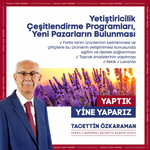 Tacettin Özkaraman Projeleri