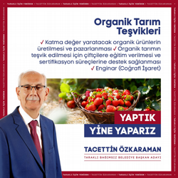 Tacettin Özkaraman Projeleri