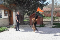 TARAKLI ZÜBEYDE HANIM ANAOKULU’NDAN İLÇE EMNİYET AMİRLİĞİ’NE ZİYARET