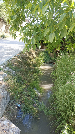 Taraklı'nın Doğal Güzelliklerinde Sabah Gezintisi