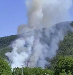 Sarıkız’daki Yangın Korkuttu