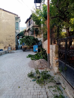 Taraklı Belediyesi'nden Kapsamlı Temizlik Çalışmaları