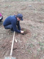 Taraklı’da Milli Ağaçlandırma Günü’nde 500 Fidan Toprakla Buluştu