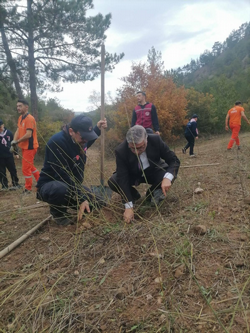 Taraklı’da Milli Ağaçlandırma Günü’nde 500 Fidan Toprakla Buluştu