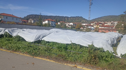 Enginar Üreticileri Don Tehlikesine Karşı Naylon Örtüyle Önlem Aldı